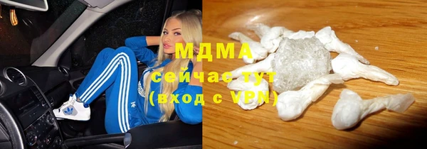 хмурый Аркадак