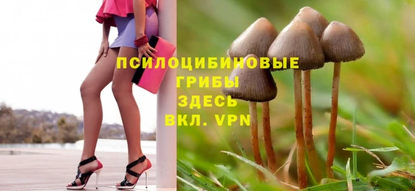 винт Арсеньев