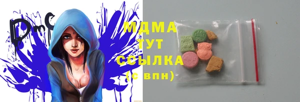 хмурый Аркадак