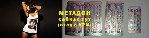 хмурый Аркадак