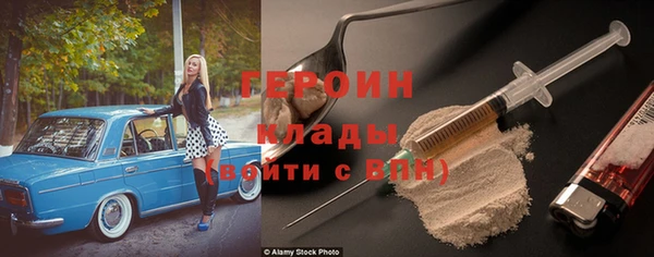 хмурый Аркадак