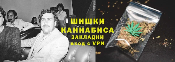 хмурый Аркадак